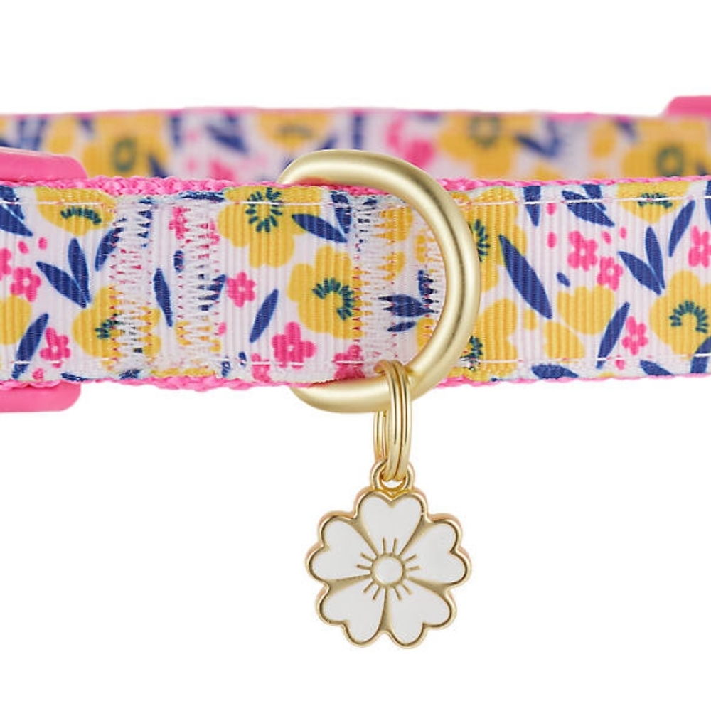 COPY - 🐕 Top Paw® Pink & Yellow Floral Adjustable Dog Collar (L) - Picture 4 of 4